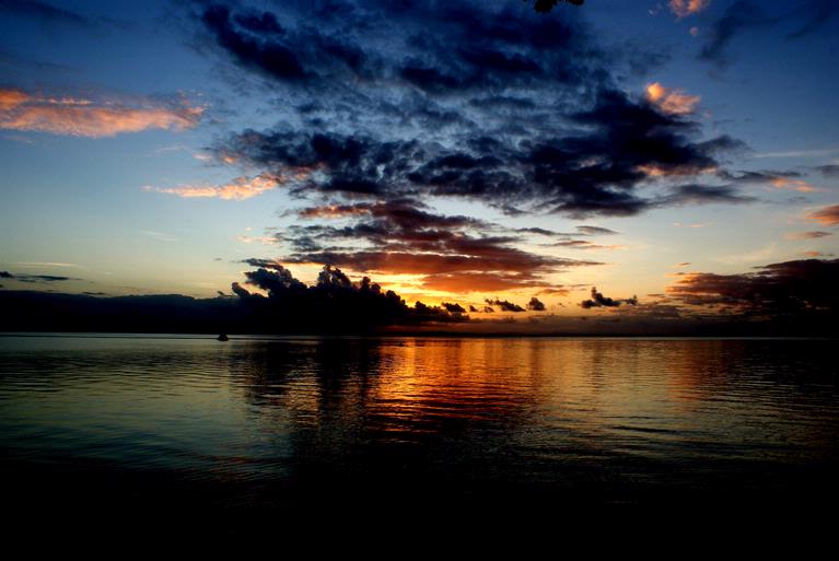 Rod Field; New Dawn